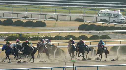 2004/02/01 京都09R