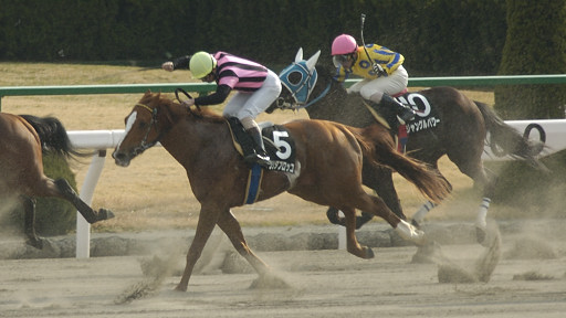 2004/02/01 京都09R