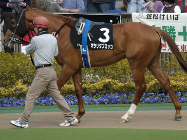 2004/02/22 東京09R