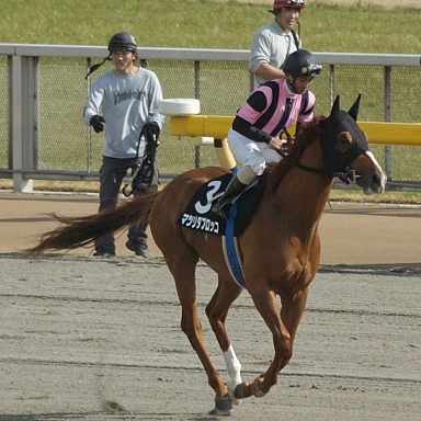 2004/02/22 東京09R