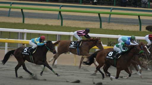 2004/02/22 東京09R