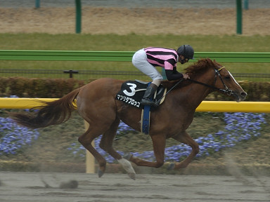 2004/02/22 東京09R