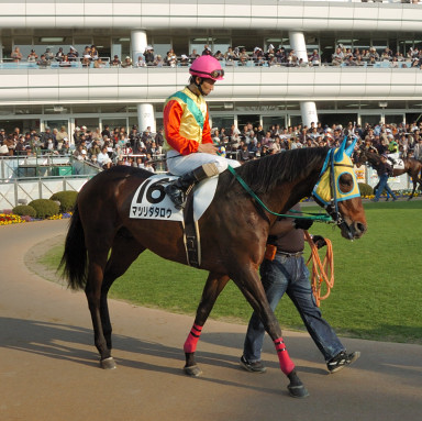 2007/03/04 中山12R