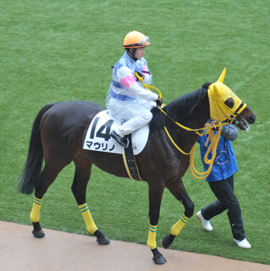 2025/03/16 中山08R