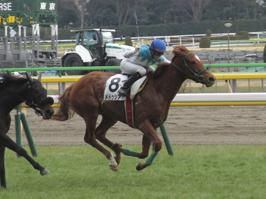 2018/02/11 東京07R