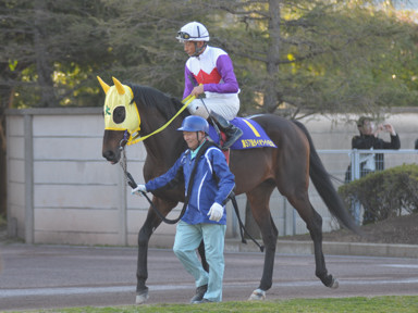 2012/03/14 �D��11R