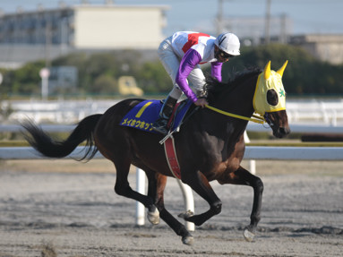 2012/03/14 �D��11R