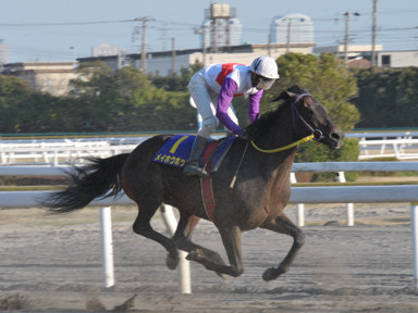 2012/03/14 �D��11R