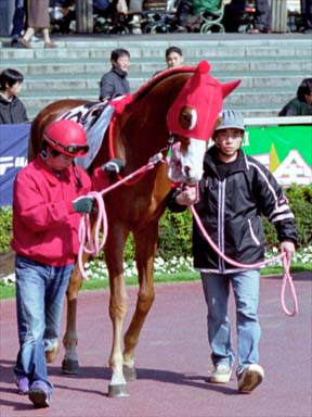 2001/02/18 東京04R
