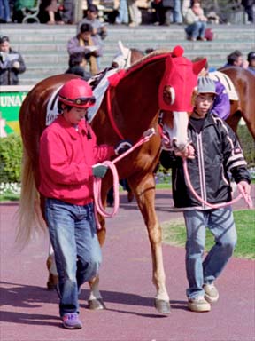 2001/02/18 東京04R