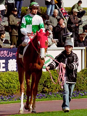 2001/02/18 東京04R