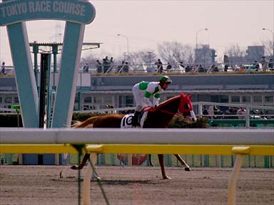 2001/02/18 東京04R