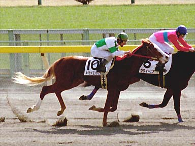 2001/02/18 東京04R
