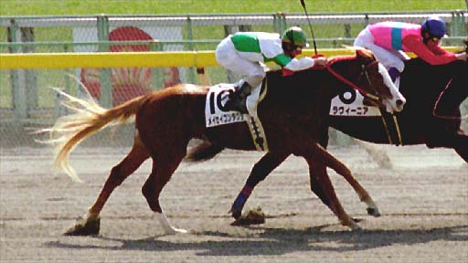 2001/02/18 東京04R
