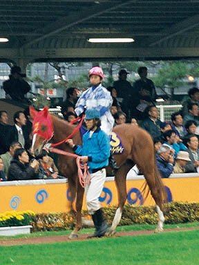 1997/11/20 大井09R