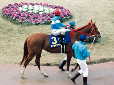 1998/01/28 川崎10R