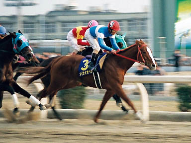 1998/01/28 川崎10R