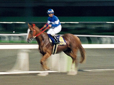 1998/06/24 大井09R