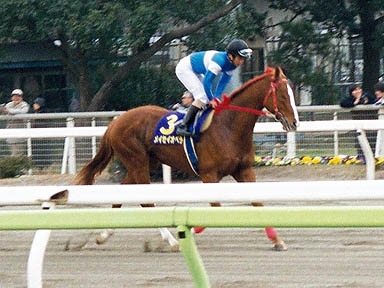 1998/12/23 大井09R
