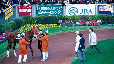 1999/01/31 東京11R