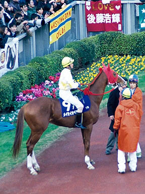 1999/01/31 東京11R