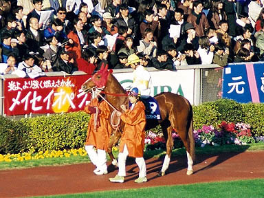 1999/01/31 東京11R