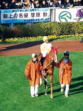 1999/01/31 東京11R