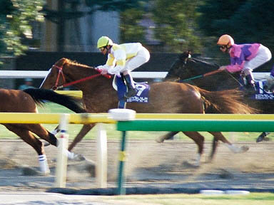 1999/01/31 東京11R