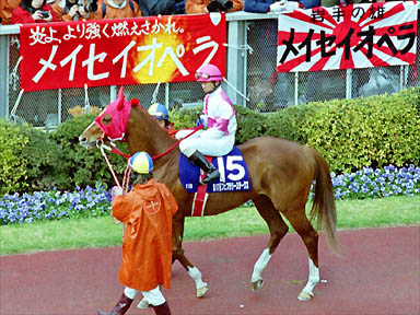 2000/02/20 東京11R