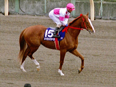 2000/02/20 東京11R