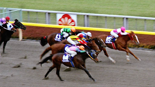 2000/02/20 東京11R