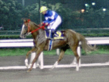 2000/06/22 大井09R