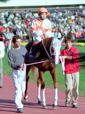 2000/11/05 東京10R