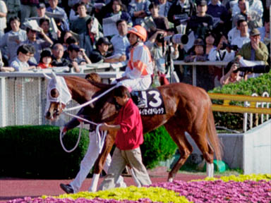 2000/11/05 東京10R