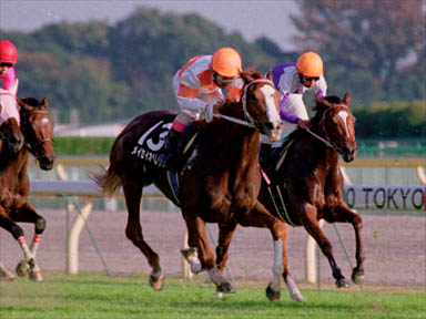 2000/11/05 東京10R