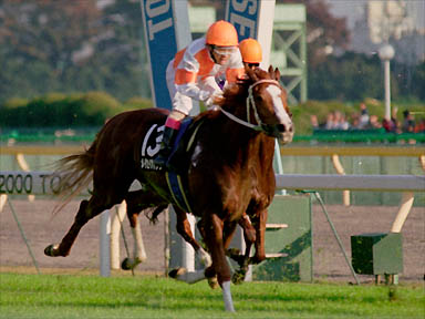 2000/11/05 東京10R