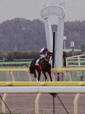 2000/10/28 東京11R