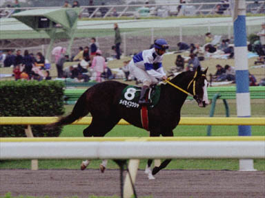 2000/10/28 東京11R