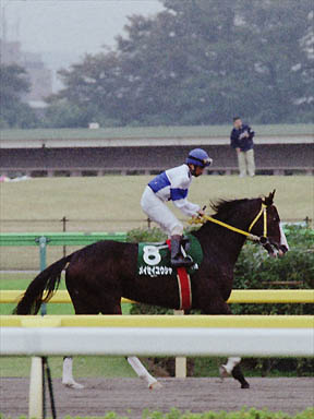 2000/10/28 東京11R