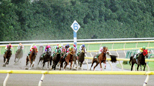 2000/10/28 東京11R