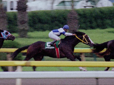 2000/10/28 東京11R