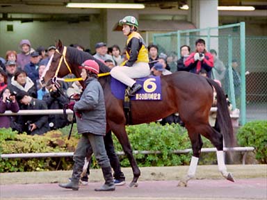 2001/01/26 川崎10R