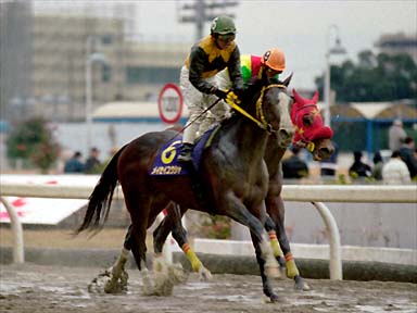 2001/01/26 川崎10R