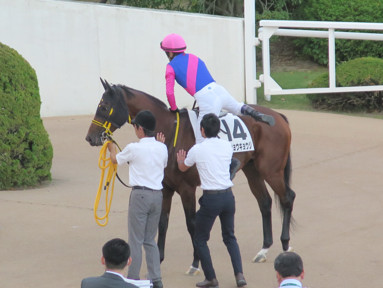2019/10/06 京都12R