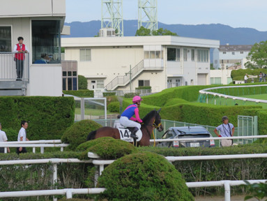 2019/10/06 京都12R