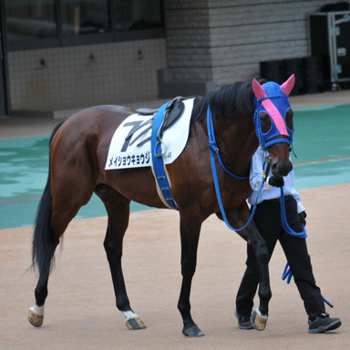 2022/10/10 東京04R