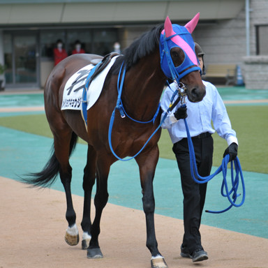 2022/10/10 東京04R