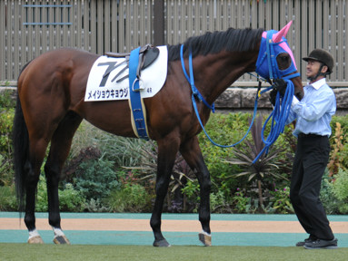2022/10/10 東京04R