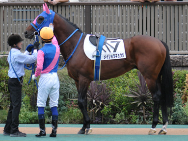 2022/10/10 東京04R
