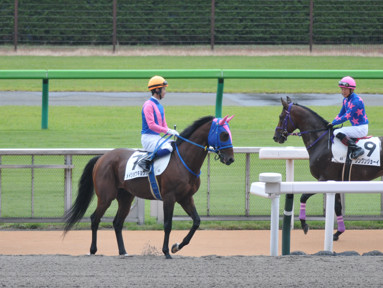 2022/10/10 東京04R
